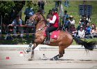 Pferd International 068